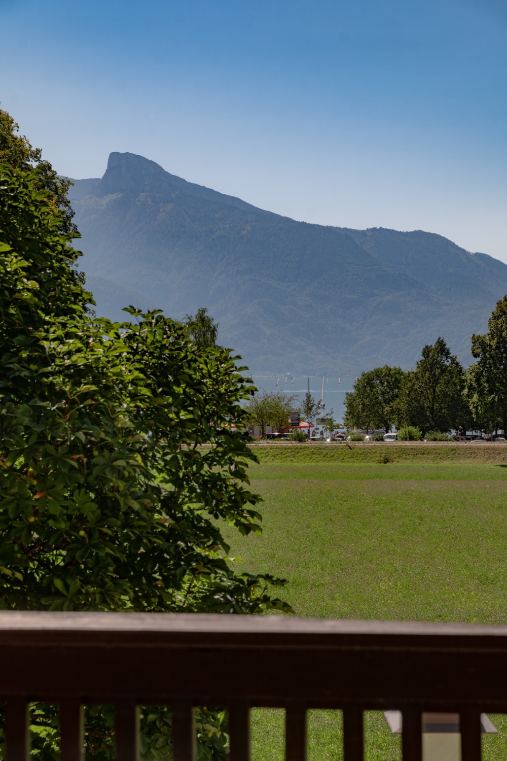 Blick über die Seewiese auf den Mondsee und den Schafberg